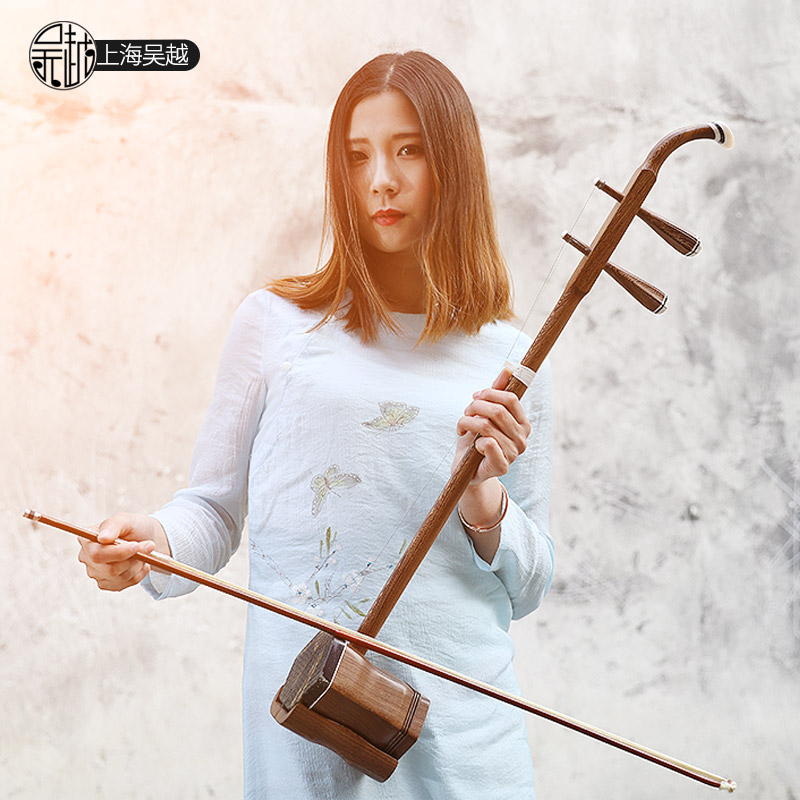 Musical Instrument Book - Chinesisches Volks-Saiteninstrument, Huqin Flachstab, Professionelles Musikzubehör,