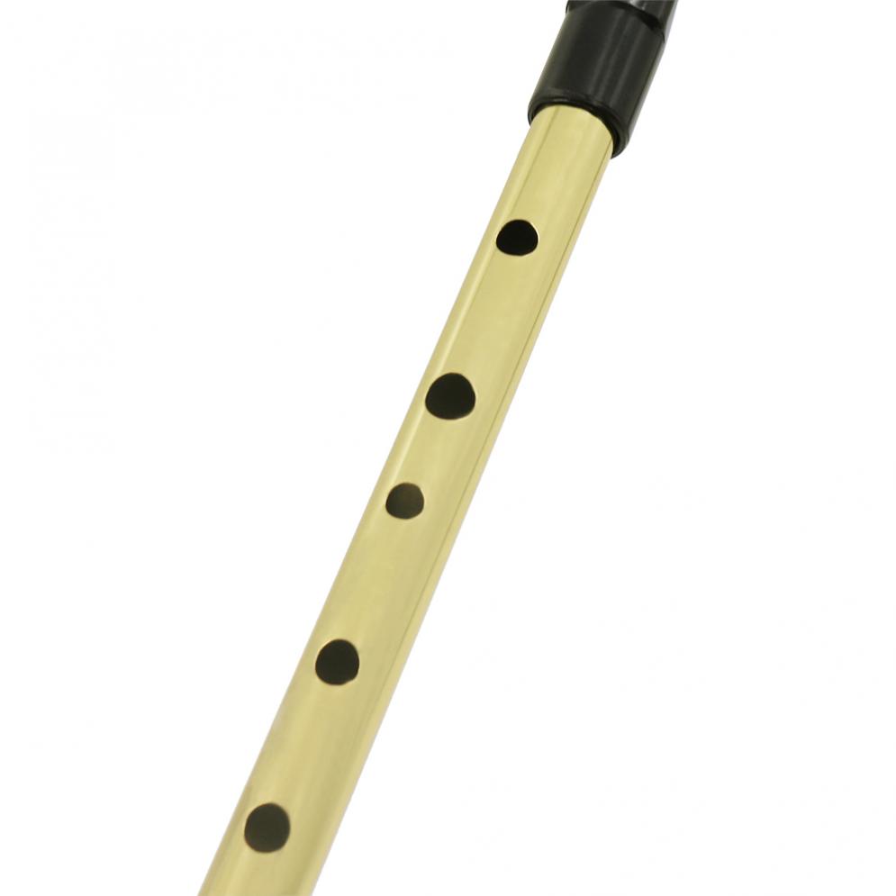 Irish Pfeife Sopran Flöte D To – Musical Instrument Irish Bewertung und Preis