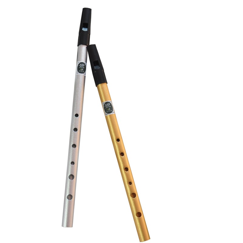 Authentische 6-Loch C/D-Ton Ir – Musical Instrument Irish Bewertung und Preis