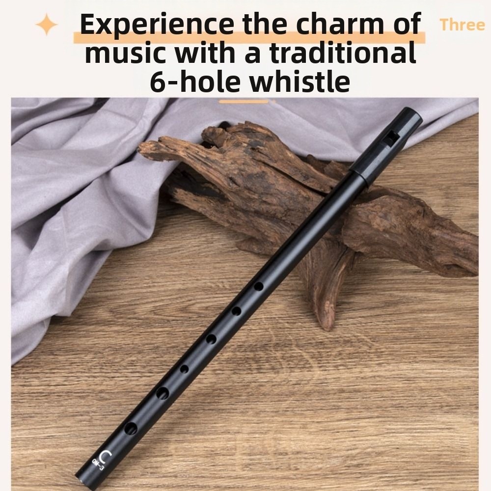 C/D-Stimmung Irische Tin-Whist – Musical Instrument Irish Bewertung und Preis