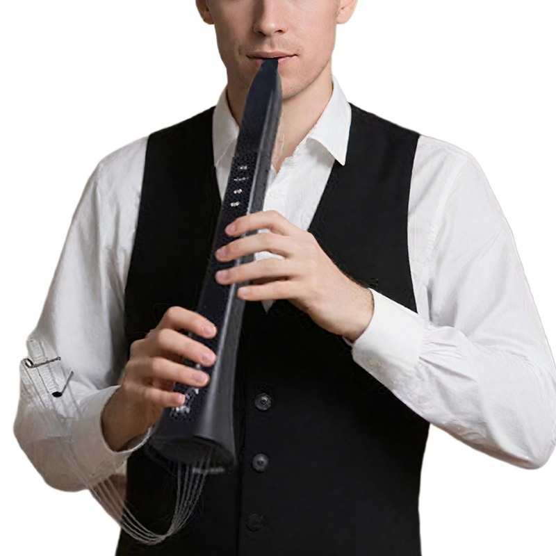 Tragbares elektronisches Blasi – Musical Instrument For Beginners Bewertung und Preis