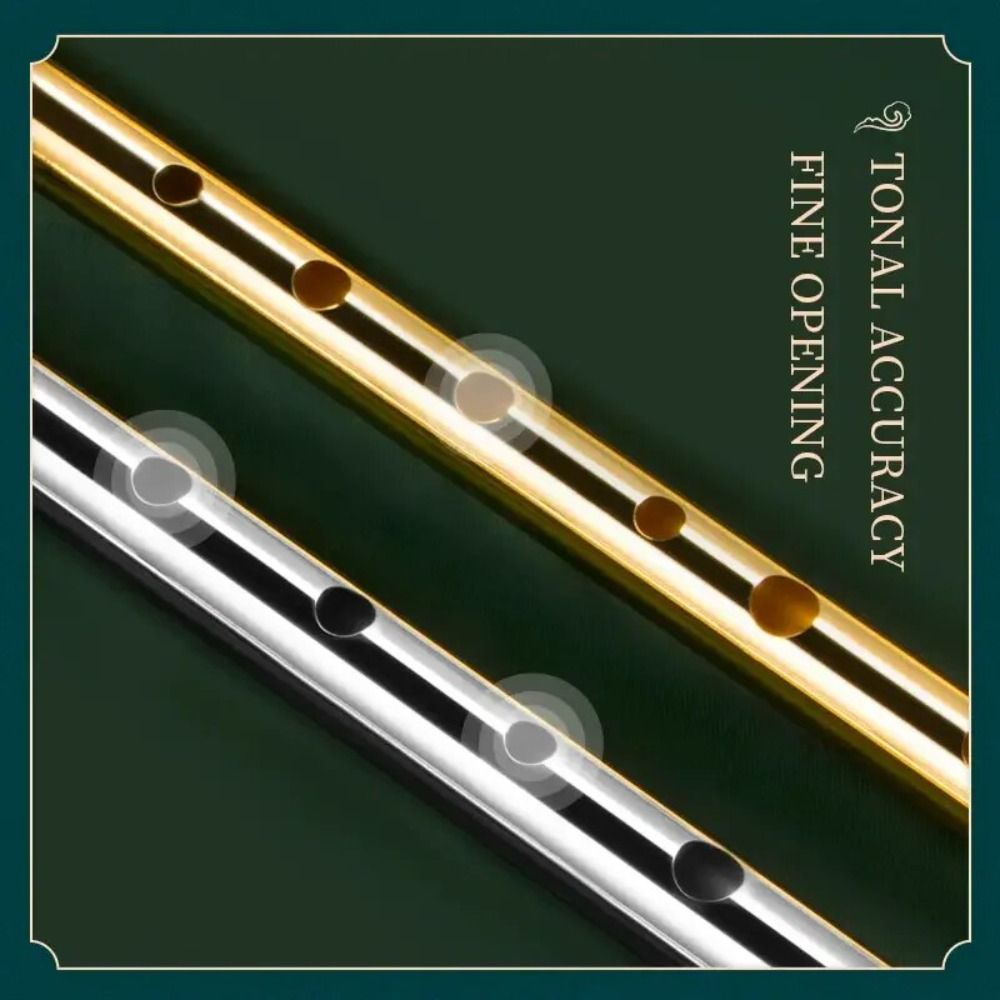 C/D-Stimmung Irische Tinflöte  – Musical Instrument Irish Bewertung und Preis