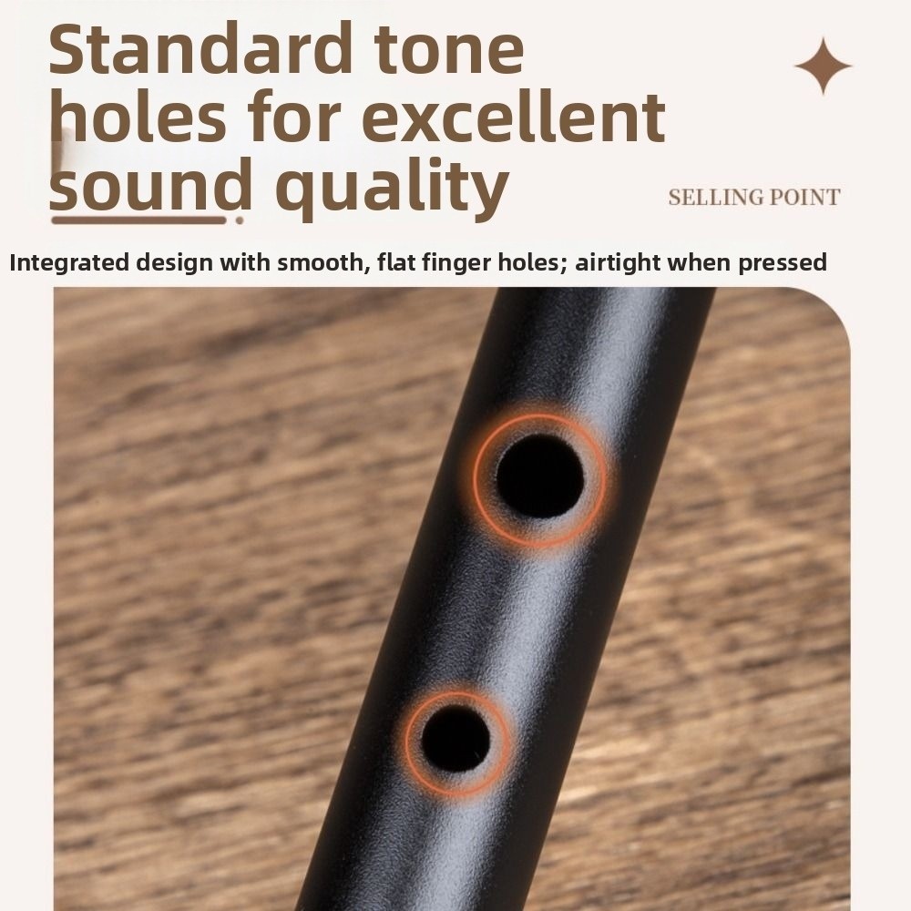 C/D-Stimmung Irische Tinflöte  – Musical Instrument Irish Bewertung und Preis